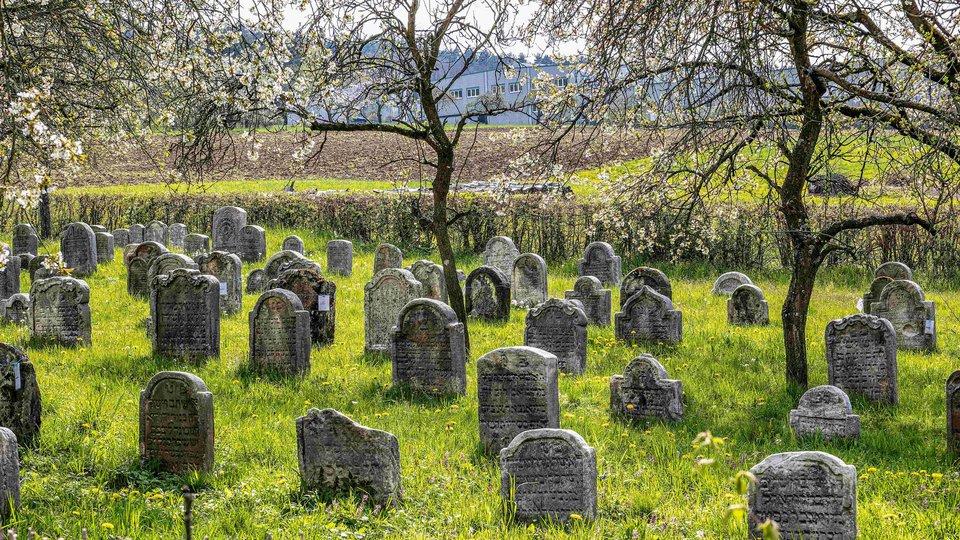 Alter jüdischer Friedhof, Hagenbach (Oberfranken)